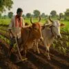 Farming Basic Requirements