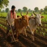 जैविक खेती क्या है