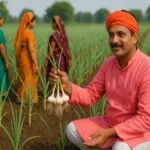 लहसुन की खेती कैसे करें