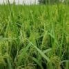 Central Government Schemes for Farmers