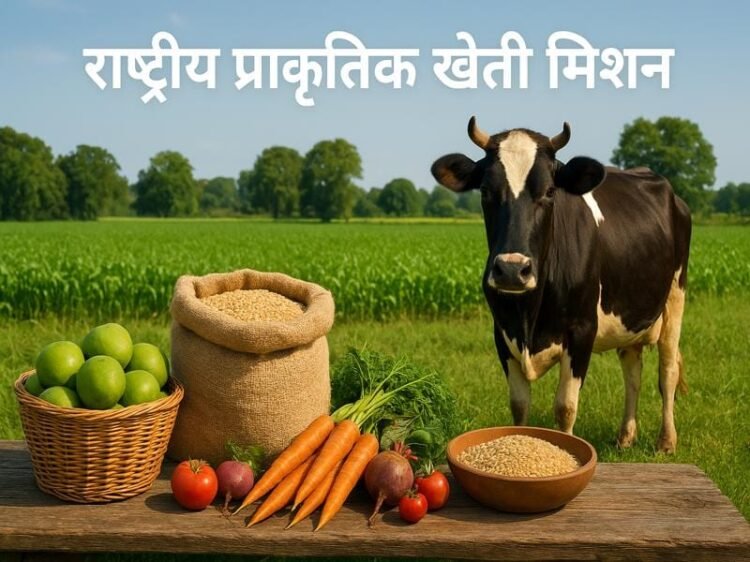 National Mission on Natural Farming