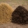 UP Govt’s Paddy Straw for Cow Dung Fertilizer Scheme