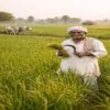 UP farmers loan at 6% interest rate