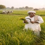 up me kisano ko 6 pratishat byaj par loan