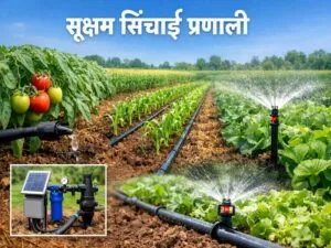 Sukshma Sinchai Pranali drip aur sprinkler irrigation system in farm