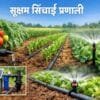 Micro Irrigation System