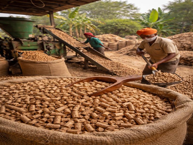 Biomass pellets with machine, price per kg and industrial uses explained