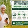 Haryana farmers selling trees online through e-auction system