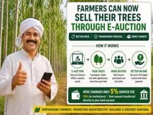 Haryana farmers selling trees online through e-auction system