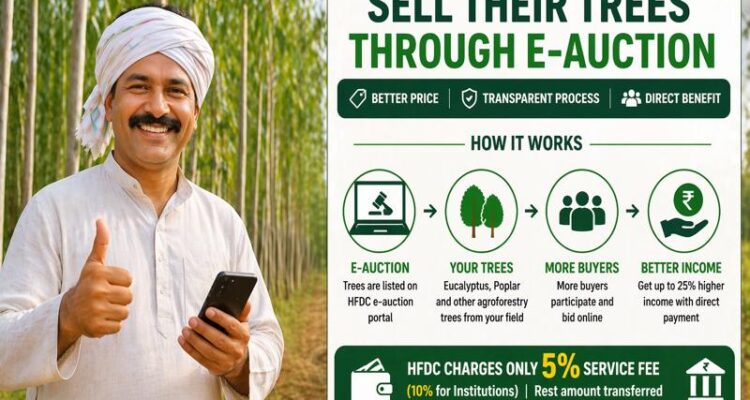 Haryana farmers selling trees online through e-auction system