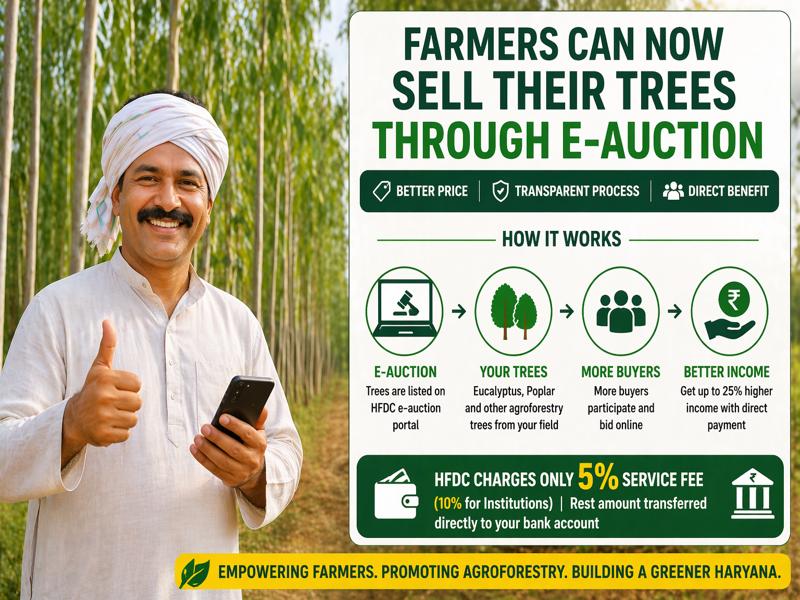 Haryana farmers selling trees online through e-auction system
