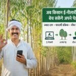 kisan e-nilami se eucalyptus aur poplar ped bechte hue