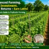 Advanced beans farming field with high yield and low-cost cultivation