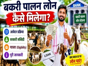 Bakri Palan Loan Kaise Milega Apply Subsidy Eligibility Guide