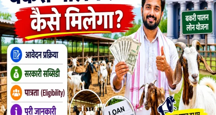 Bakri Palan Loan Kaise Milega Apply Subsidy Eligibility Guide