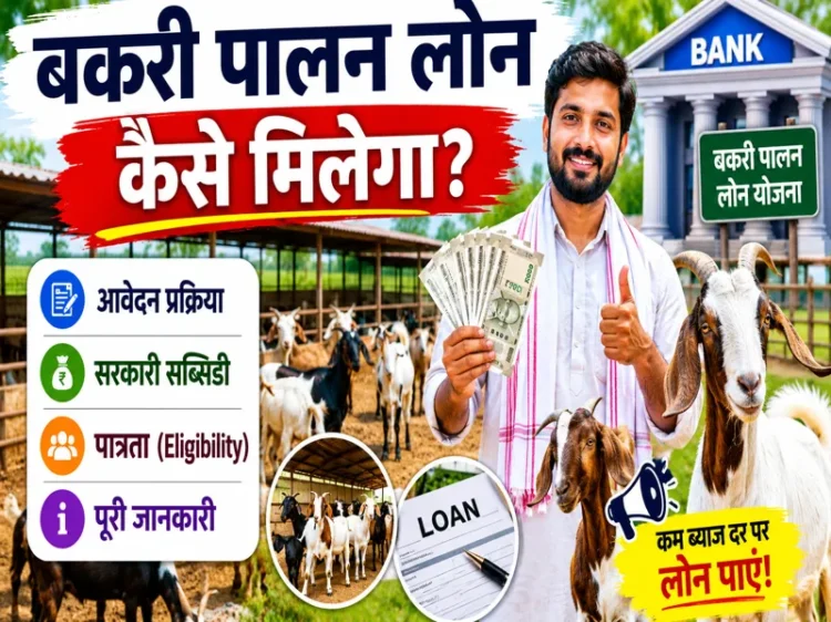 Bakri Palan Loan Kaise Milega Apply Subsidy Eligibility Guide