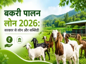 Bakri Palan Loan 2026 Sarkari Loan Aur Subsidy Yojana Ki Jankari