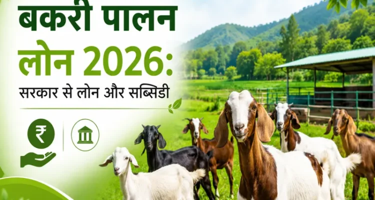 Bakri Palan Loan 2026 Sarkari Loan Aur Subsidy Yojana Ki Jankari