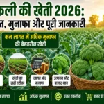 Broccoli ki kheti 2026 me adhik munafa dene wali kheti