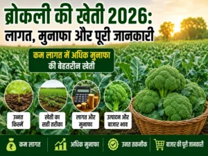 Broccoli ki kheti 2026 me adhik munafa dene wali kheti