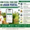 Farmer selling crops online using E-NAM Portal in India