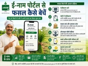 E-NAM Portal par online fasal bechne ki poori guide