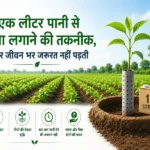 Ek liter pani se paudha lagane ki water saving farming technique