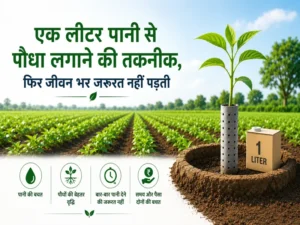 Ek liter pani se paudha lagane ki water saving farming technique