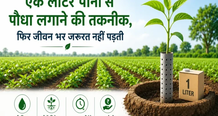 Ek liter pani se paudha lagane ki water saving farming technique