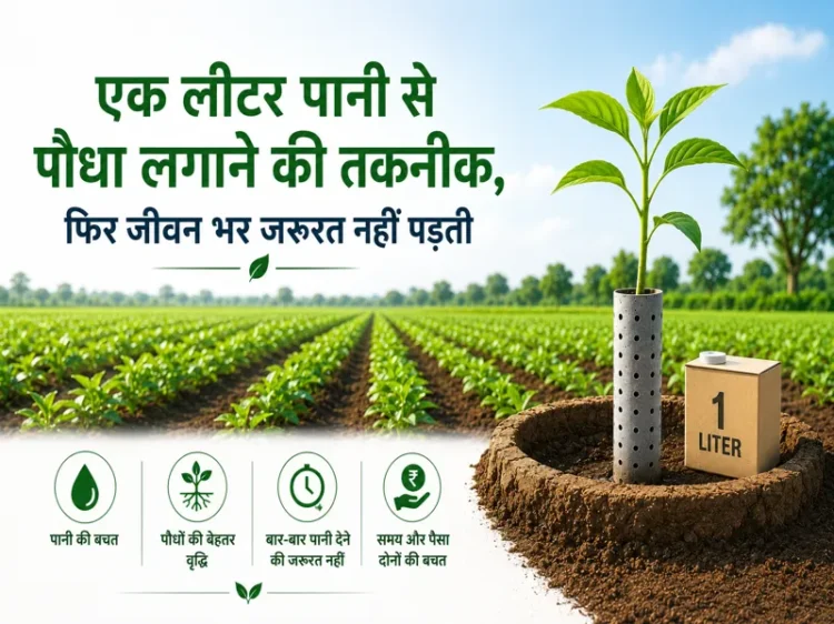 Ek liter pani se paudha lagane ki water saving farming technique