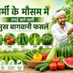 Garmi ke mausam me ugai jane wali bagwani faslen India me