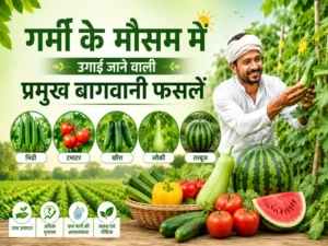 Garmi ke mausam me ugai jane wali bagwani faslen India me