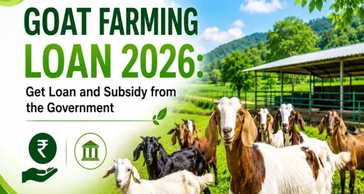 Goat Farming Loan 2026 with government subsidy and easy financing