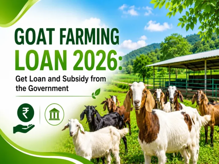 Animal Farming