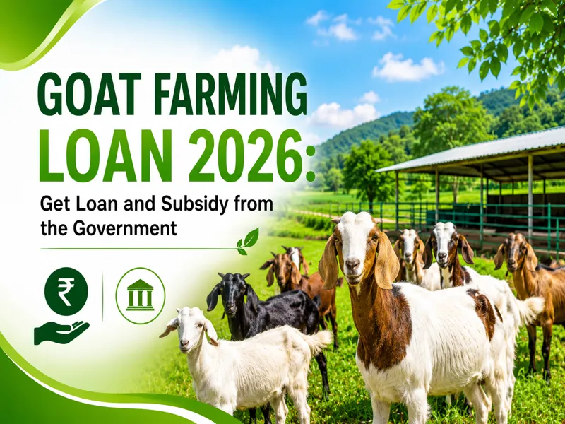 Goat Farming Loan 2026 with government subsidy and easy financing