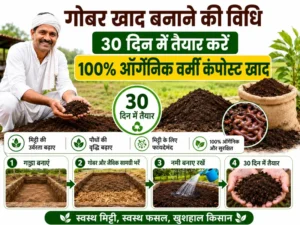 30 din me gobar se organic vermicompost khad banane ki vidhi