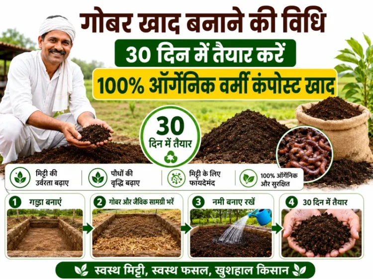30 din me gobar se organic vermicompost khad banane ki vidhi