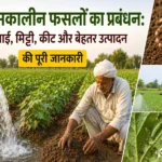 Grishmakaleen fasal prabandhan, sinchai aur keet niyantran ki jankari