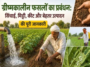 Grishmakaleen fasal prabandhan, sinchai aur keet niyantran ki jankari
