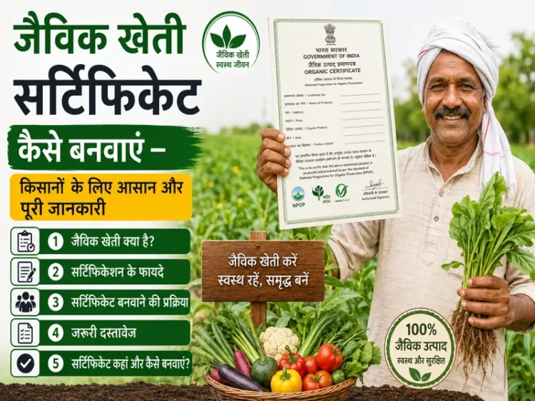 Jaivik kheti certificate banwane ki poori jankari