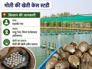 haryana kisan ki moti ki kheti case study aur pearl farming