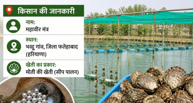 haryana kisan ki moti ki kheti case study aur pearl farming