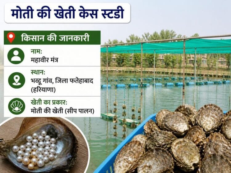 haryana kisan ki moti ki kheti case study aur pearl farming