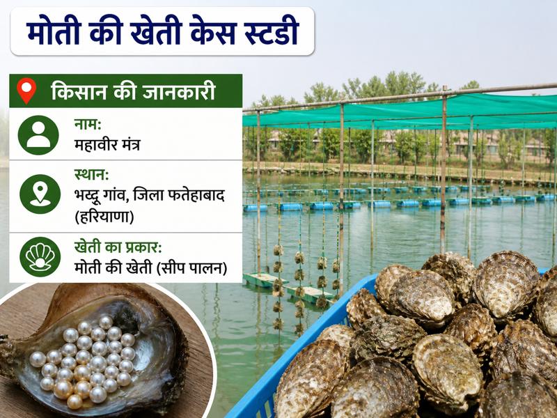 haryana kisan ki moti ki kheti case study aur pearl farming
