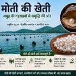 Moti ki kheti ka process aur pearl farming ka poora tarika India me