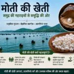 Moti ki kheti ka process aur pearl farming ka poora tarika India me
