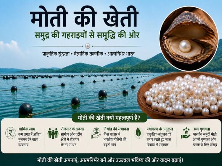 Moti ki kheti ka process aur pearl farming ka poora tarika India me