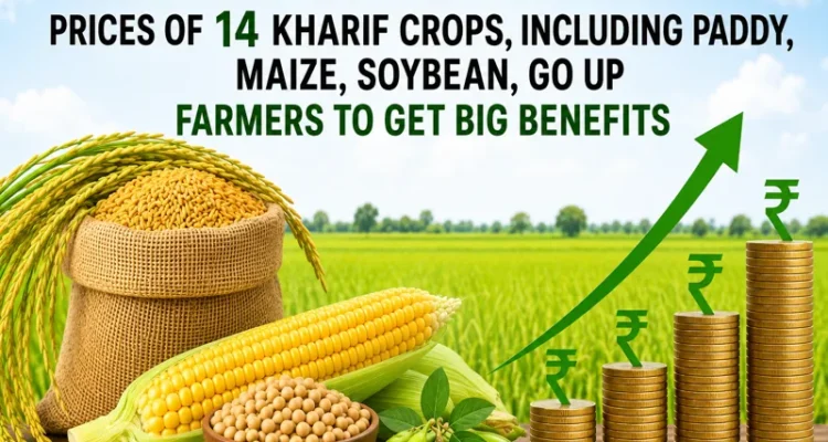 New MSP rates announced for 14 Kharif crops including paddy and maize