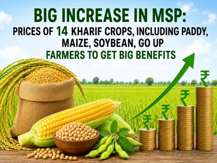 New MSP rates announced for 14 Kharif crops including paddy and maize