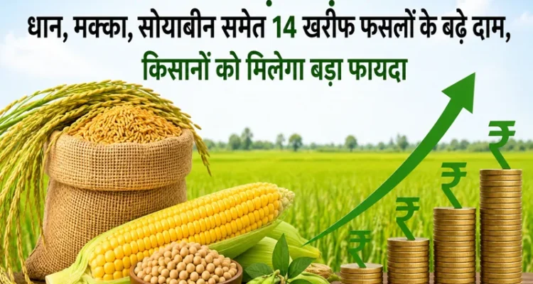MSP hike for dhan makka soybean and 14 kharif crops farmers benefit